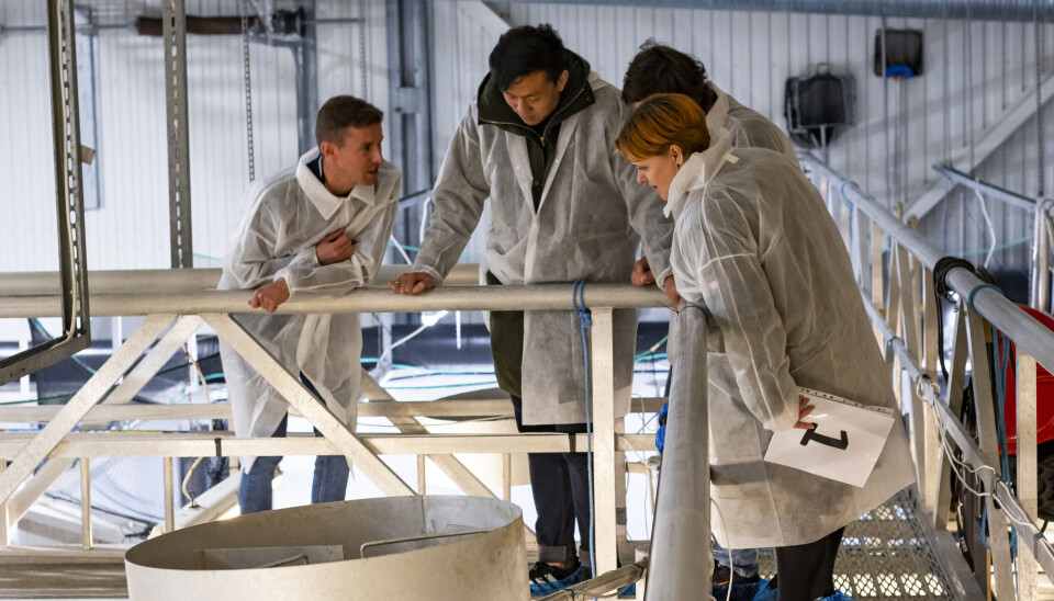 The conference will begin with a tour of Nofima's RAS facilities for those who are interested.