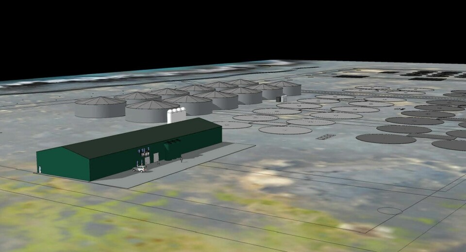 A computer rendering of the smolt facility with the planned on-growing tanks in the background.
