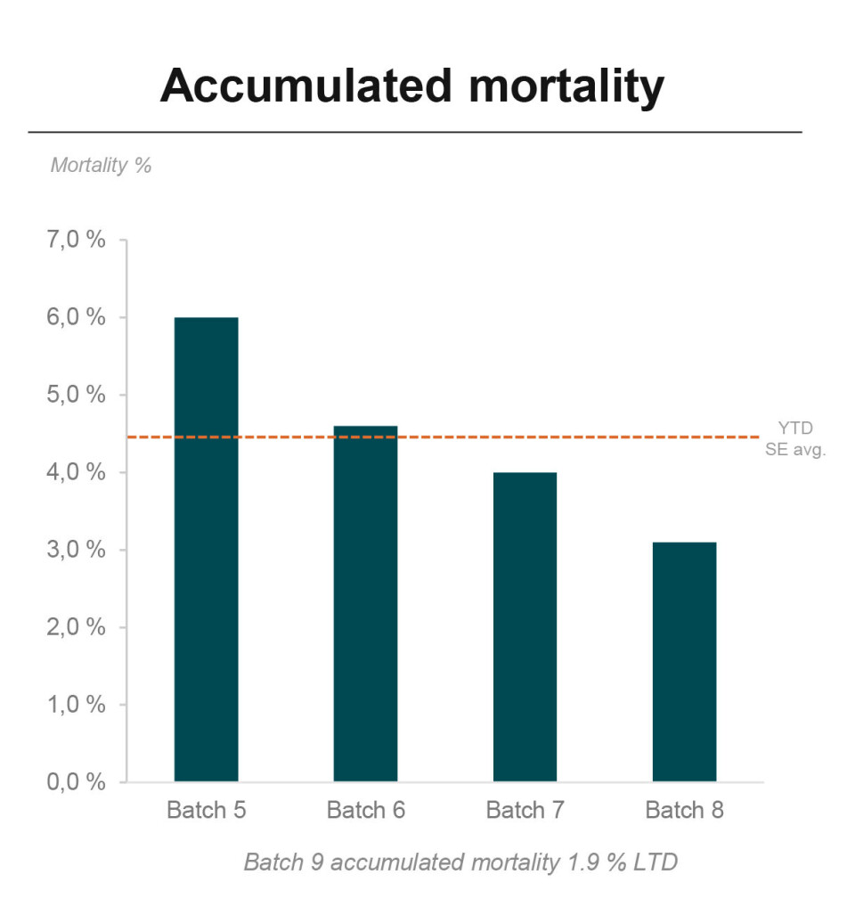 Accumulated mortality.