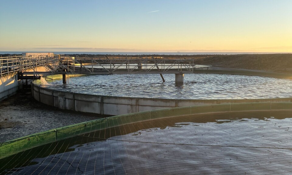 Samherji has conducted a trial with ReelData’s ReelAppetite product at its Staður site, Reykjanes, where it grows Arctic char.