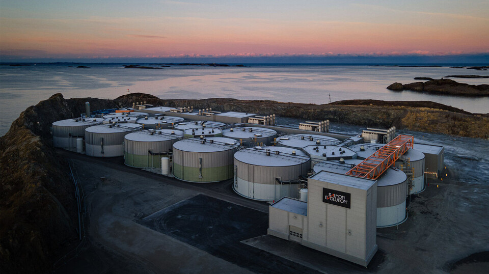 Phase 1 of the Salmon Evolution facility at Indre Harøy, which produces both food fish and, recently, also post-smolts for sale.