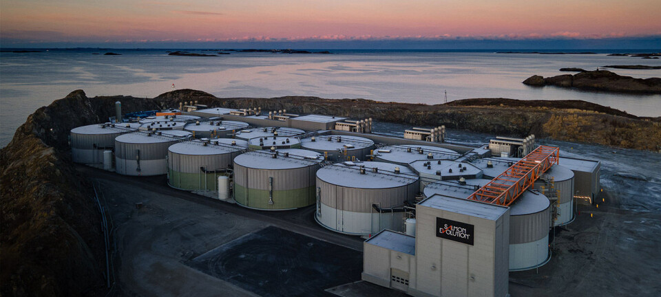 Salmon Evolution delivered first post-smolts in Q4