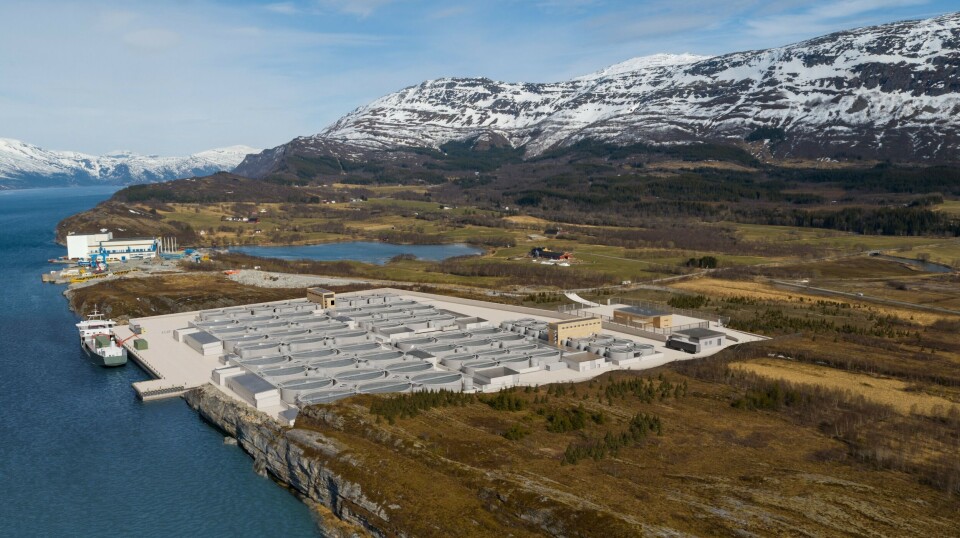 Once fully developed, the facility should be able to produce 25,000 tonnes of salmon per year, while the first phase aims for 10,000 tonnes.
