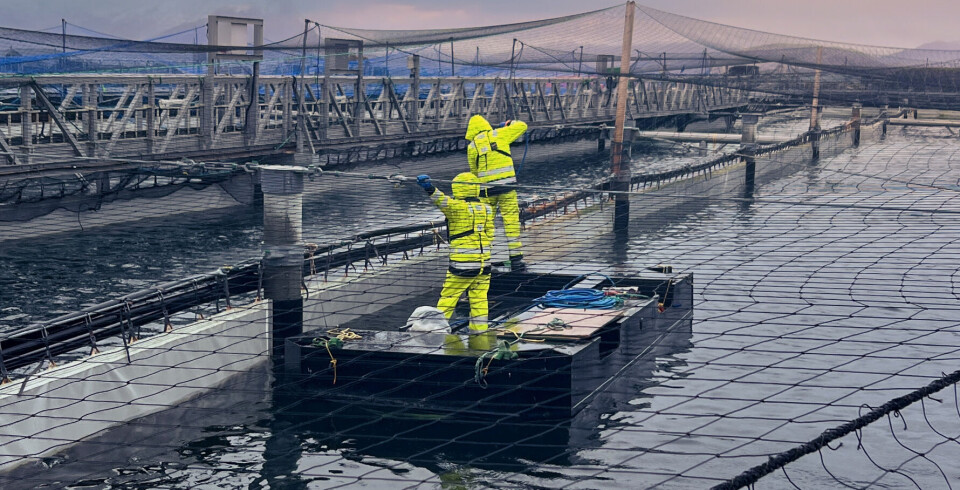 Gigante Salmon reports delays in the construction of its second production pool at Lille Indre Rosøy in Rødøy municipality, Norway.