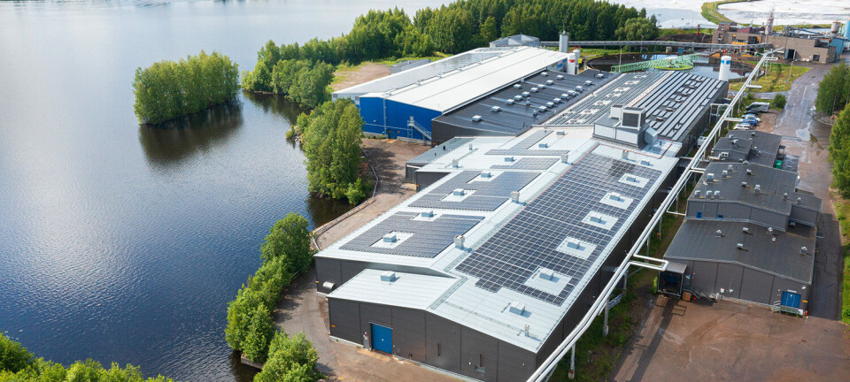 Trout farmer poised for international expansion after investment from Cermaq owner Mitsubishi