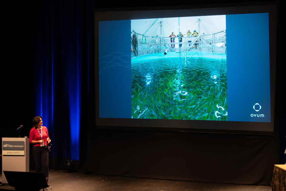 There are several ways to produce post-smolt. At sea, there are significant costs associated with the permit, on land you receive the permit as a security. This eliminates technology neutrality, was Siri Vike's message.