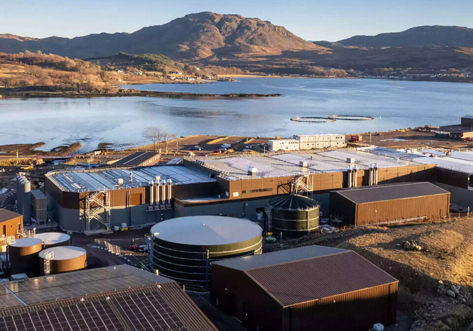 Bakkafrost's Applecross RAS facility, which is still under construction, supplied smolts with an average weight of 232 grams in Q1. The company has two more modules to add, which will expand capacity to 8 million 500-gram smolts.