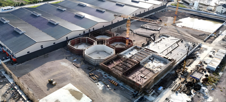 Nordic Aqua is discarding 2,000 tonnes of fish due to continued geosmin issues