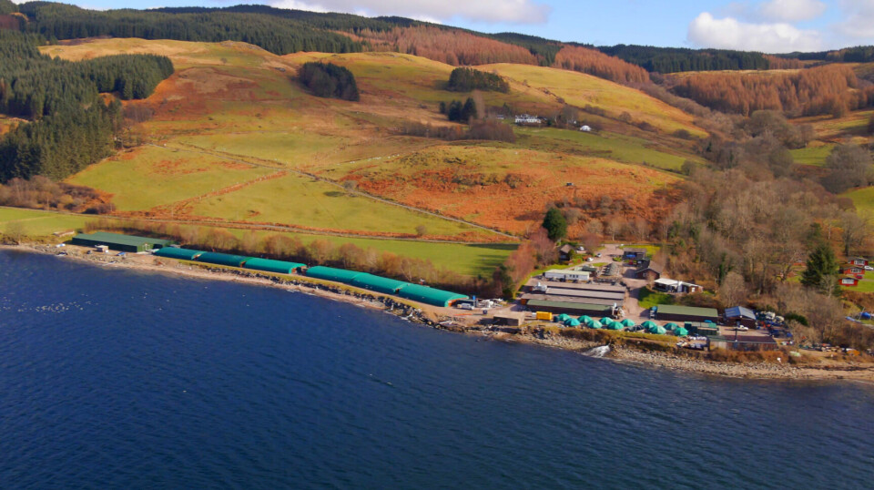 Otter Ferry Seafish, on the shore of Loch Fyne.
