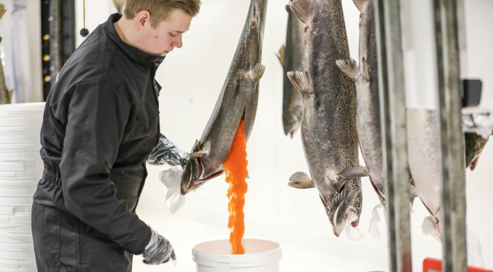 Benchmark vende su división de genética