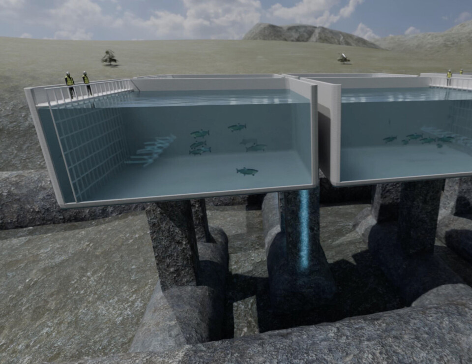 The work on the water pathways also includes tunnel infrastructure beneath the excavated pool pits. Here are eight vertical intake shafts that will supply all the pools with fresh seawater, and six vertical outlet points - where adjacent pools share the same outlet.