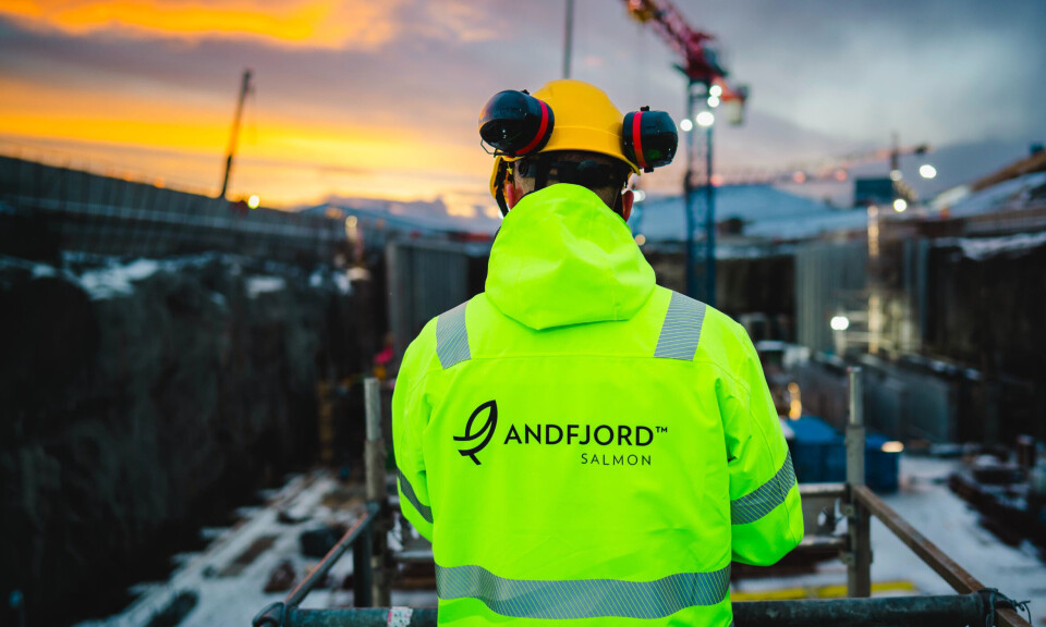 The CEO of Andfjord Salmon, Martin Rasmussen, is pleased with what he sees. 'I notice progress every day,' he says.