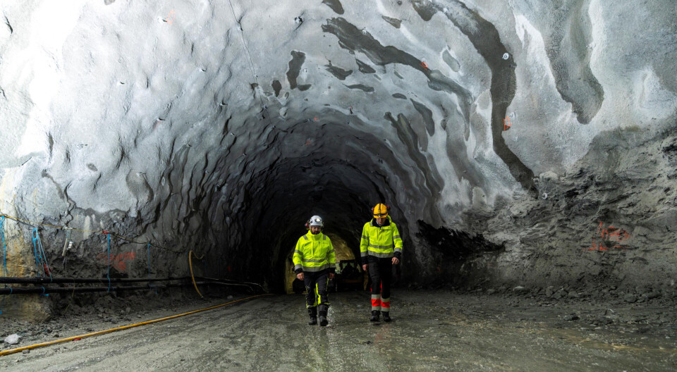 Breakthrough for Andfjord Salmon
