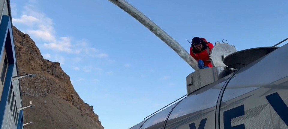 Laxey transfers its first fish