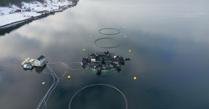 Mortalidad muy baja en prueba a gran escala de la 'donut marina'