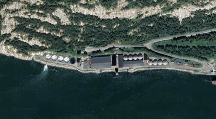 65 mil smolts se escaparon: inician investigación para encontrar las razones