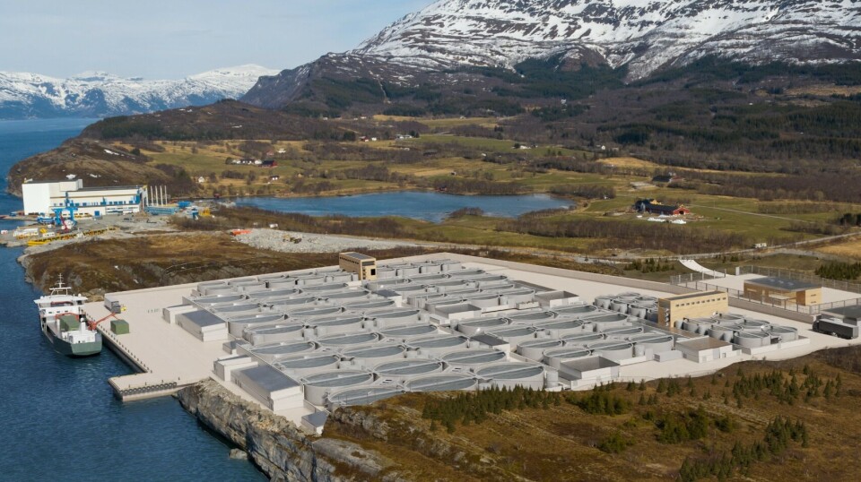 An illustration of the planned interior of the new hybrid salmon farm, and inset, new COO Mona Bolin.
