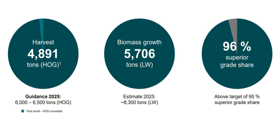 Salmon Evolution's key figures for 2024.