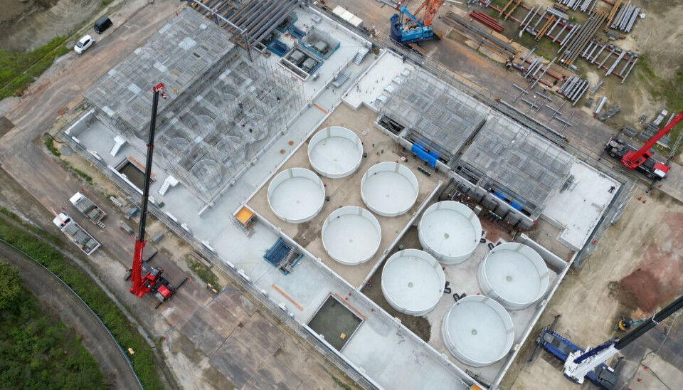 One of Pure Salmon's global projects - the Soul of Japan facility under construction in Tsu City. Work on the new Huon plant in Tasmania is due to begin later this year.