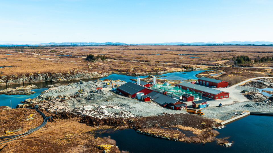 Nekton Settefisk's RAS facility in Aunvågen, where the company wants to expand. Here you can see the development of the industrial area. Picture taken September 2024