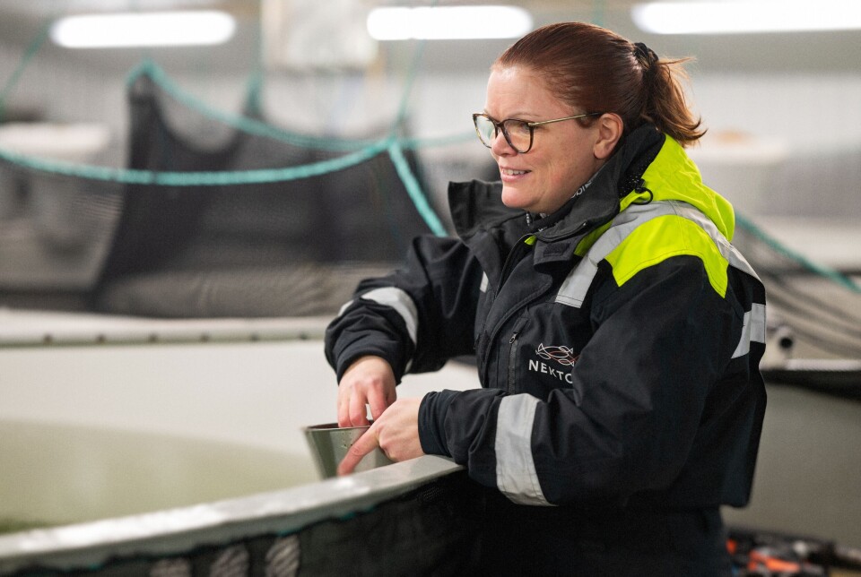 Operations technician Ingrid Strand at Nekton Settefisk checks that the initial feeding of the fry is going as it should.