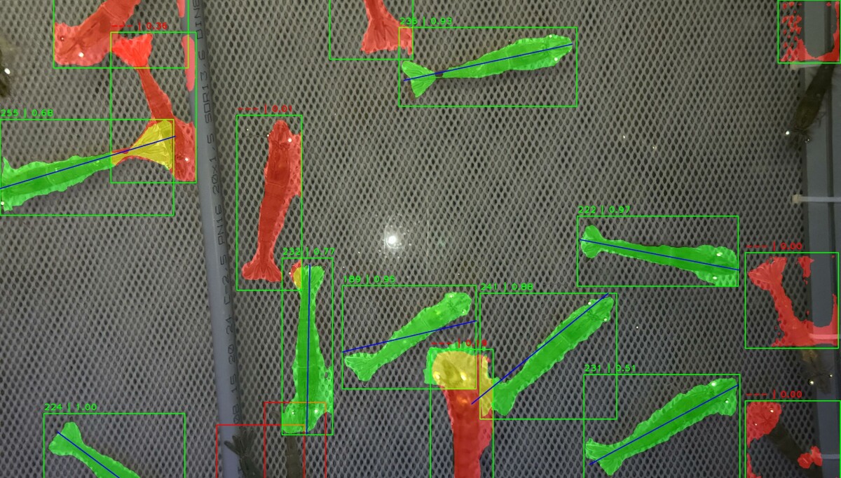 Can computer vision make indoor shrimp farming a clear winner?