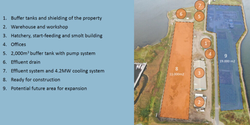 The Maiken Foods plan for the Atlantic Sapphire Denmark site at Hvine Sande.