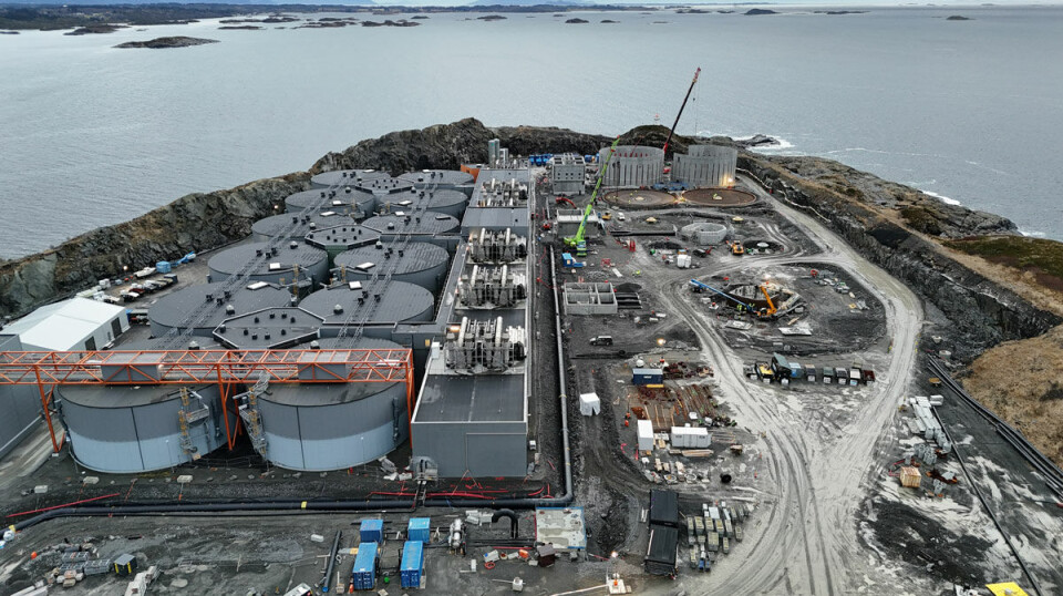 Work is progressing on Phase 2 of Salmon Evolution's land-based facility at Indre Harøy.