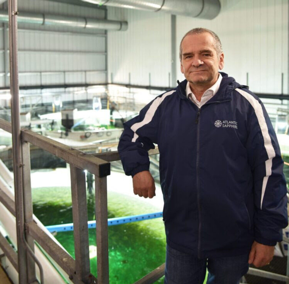 Pedro Courard is CEO of Atlantic Sapphire.