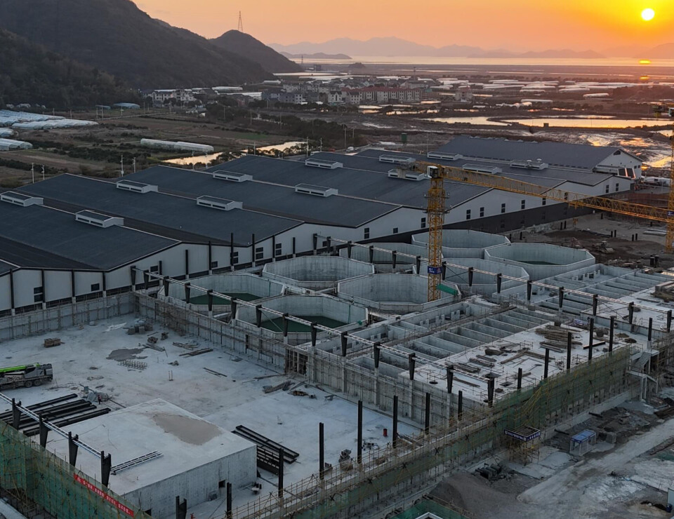Construction is in full swing on Phase 2. The first harvest in Phase 2 is scheduled for Q3 2026.
