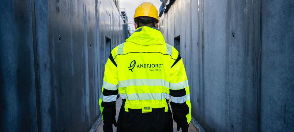 Andfjord Salmon's toughest task '98% complete'