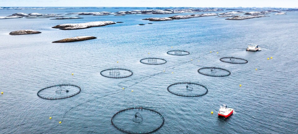 Departementet sier nei til LetSea