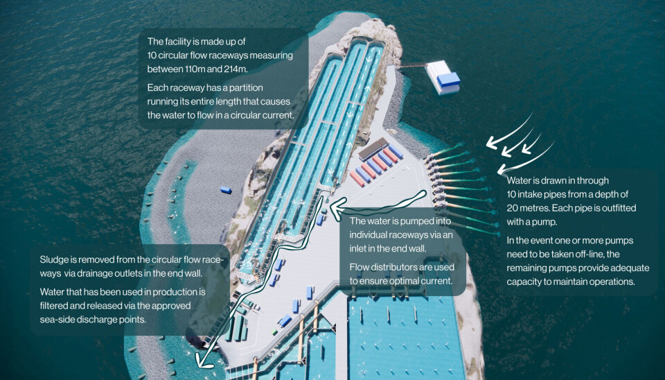 An illustration of Gigante Salmon's facility, showing the three raceways in the completed pool. The company will make its first harvest from one of the raceways in Q2, and will begin a second harvest from another raceway in Q4.