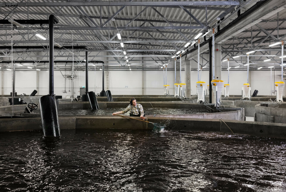 Inside the Fifax RAS facility, which re-uses more than 99% of water.
