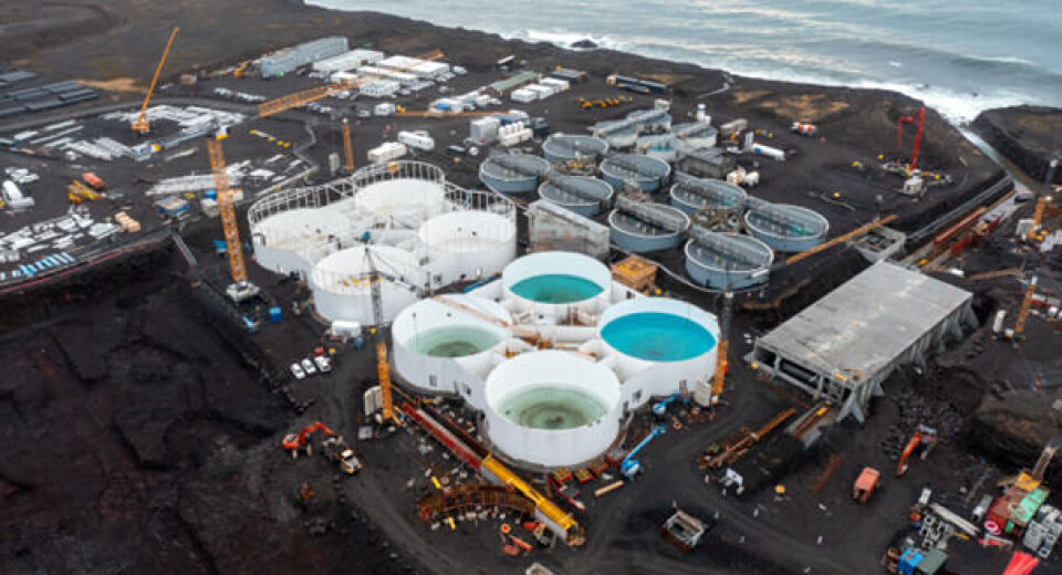 Phase one of the project is scheduled to be completed in 2025, but First Water has already been harvesting fish for almost two years.