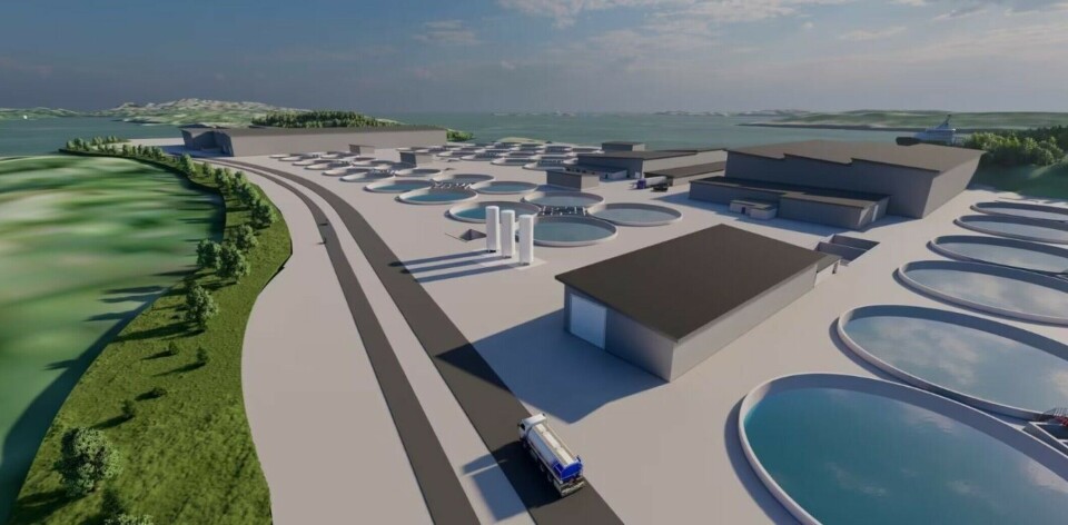 A rendering of Helgeland Miljøfisk's planned land-based fish farm.