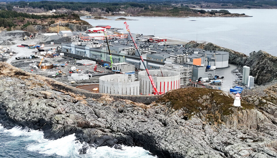 On the island of Indre Harøy in Norway, Salmon Evolution grows 30% of the salmon currently produced on land, and is doubling capacity.