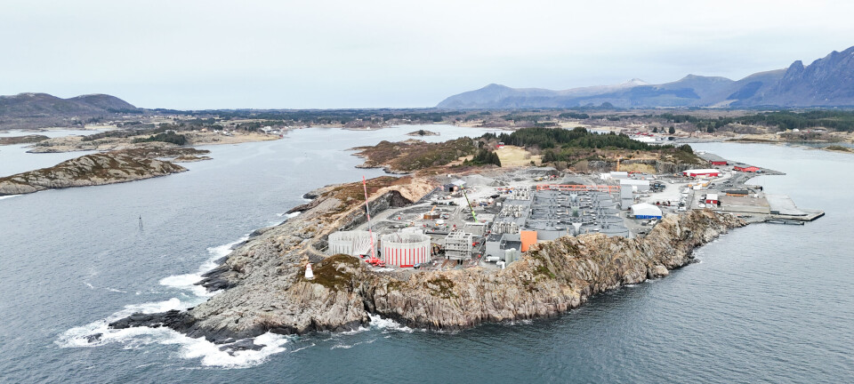 'The plant is really starting to rise now'