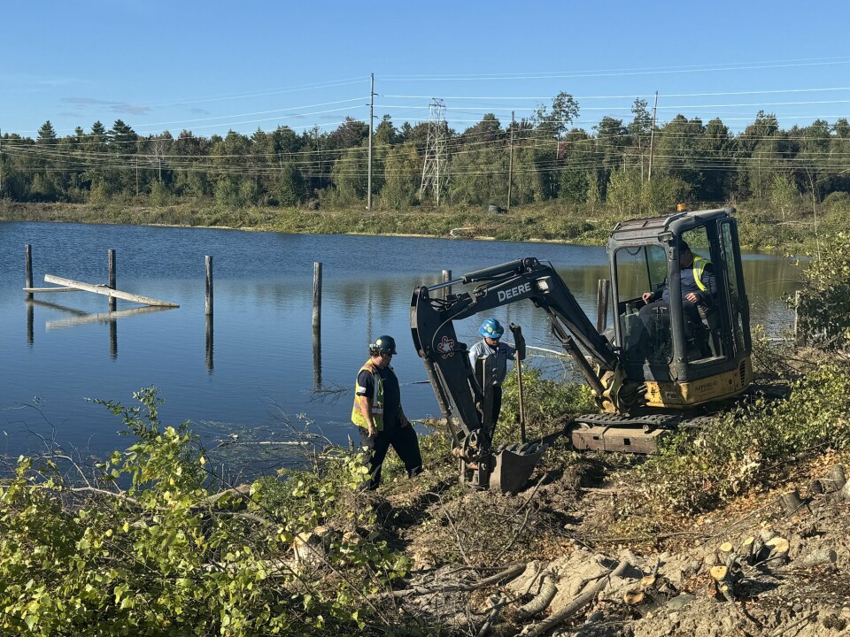 Contractors clear land next to the lagoon at the start of the preparation work in September last year.