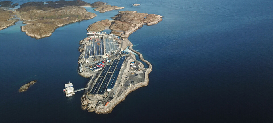 Gigante Salmon completes casting of third and final pool
