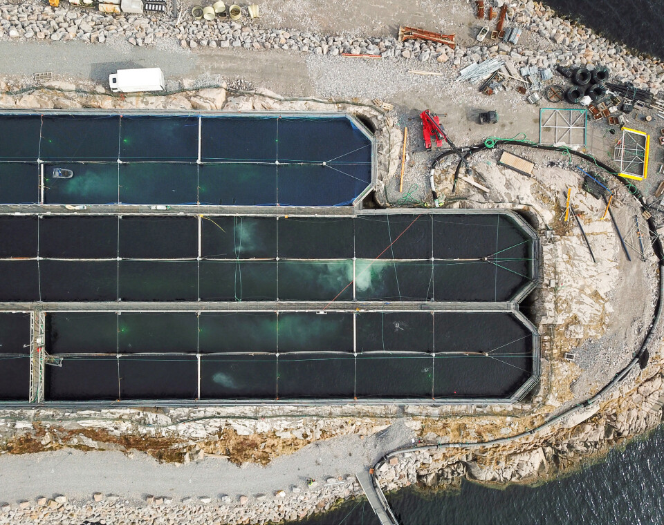 In total, it is planned to release over 2.2 million smolt in autumn 2025.