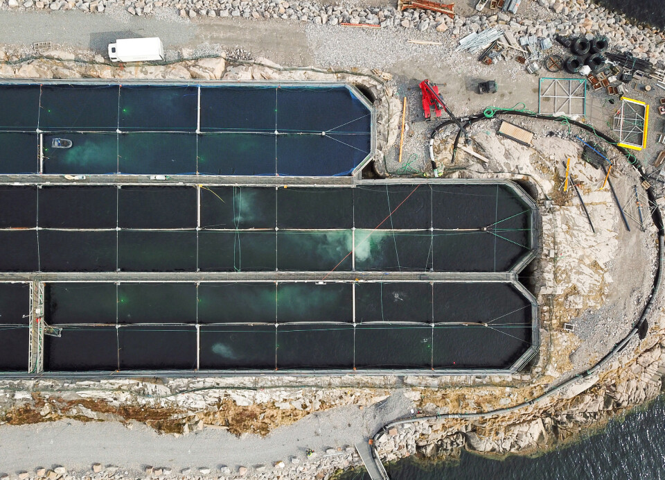 Gigante Salmon has now completed two of three production ponds, each divided into separate units, and is targeting 16,000 tonnes HOG annually from 2028.