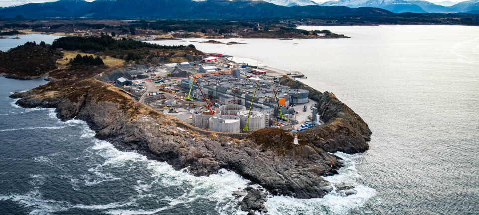 Postponed harvest: never had more fish