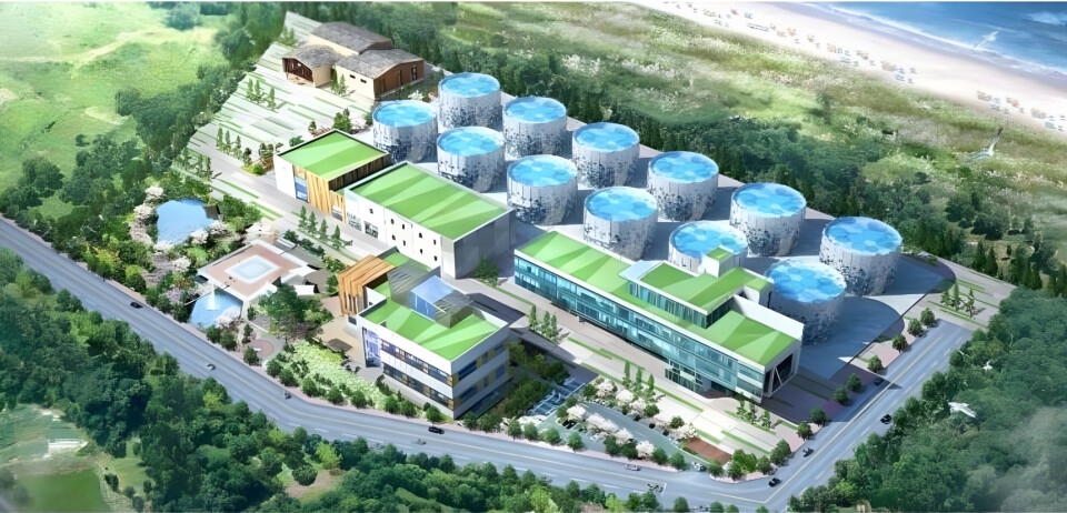 Sketch of Salmon Evolution's project in South Korea.