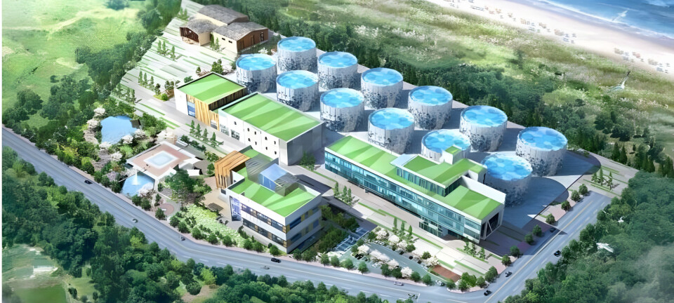 Salmon Evolution faces challenges with overseas projects