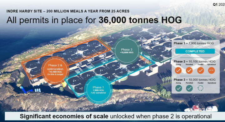 This is how Salmon Evolution envisions the area on Indre Harøy being utilised.