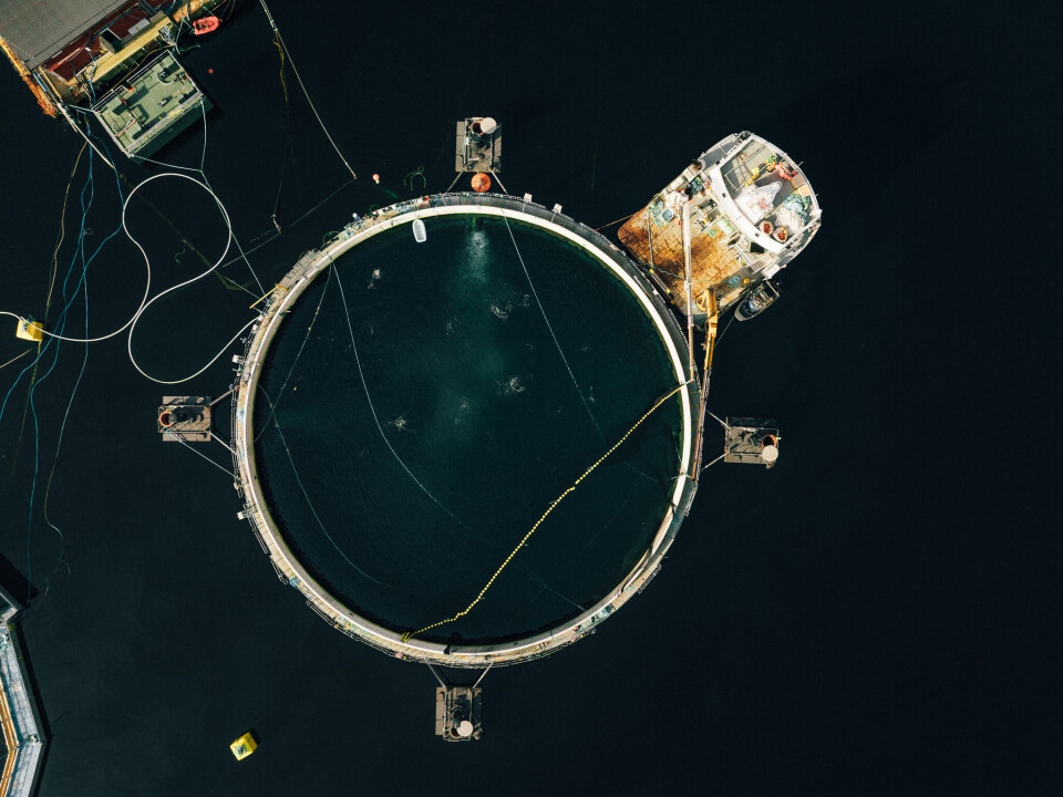 Aquafarm Equipment has designed and manufactured the closed facility Neptun 3, which is in operation at Mowi in Vindsvik. With a diameter of 40 metres, a depth of 22 metres and a volume of 21,000 cubic metres, it is designed to produce up to one million post-smolts.