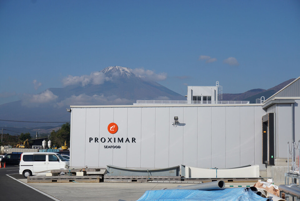 The Proximar Seafood facility is located with a view of Japan's most famous mountain, Fuji. Capex for the building is 240 NOK/kg.
