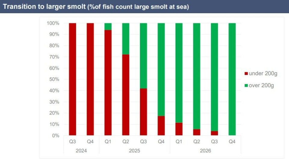 The percentage of sub-200g smolts stocked by Bakkafrost Scotland will decrease this year and next as Applecross increases its output. By Q4 2026, all smolt stocked at sea will be above 200g. Long-term, the company aims to stock 55g smolts.