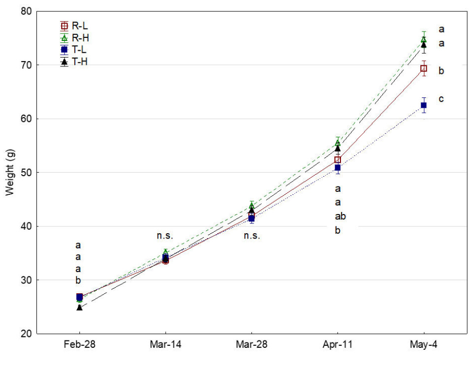 Figure 1: Mean weight calculated for each of the ten families at day 1, 17, 31, 45, 58 and 70. Values represent means, and vertical whiskers indicate standard error of mean (SEM). Mean values which do not share a letter were found to be significantly different (two-way nested ANOVA, P < 0.05).